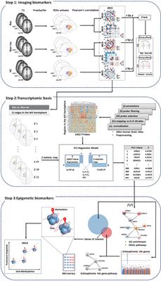 Predictive Biomarkers for Antipsychotic Treatment Response in Early Phase of Schizophrenia: Multi-Omic Measures Linking Subcortical Covariant Network, Transcriptomic Signatures, and Peripheral Epigenetics